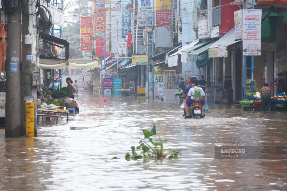 Triều cường dâng cao tại khu vực chợ Bình Thủy. Ảnh: Tạ Quang (ảnh chụp ngày 28.9)
