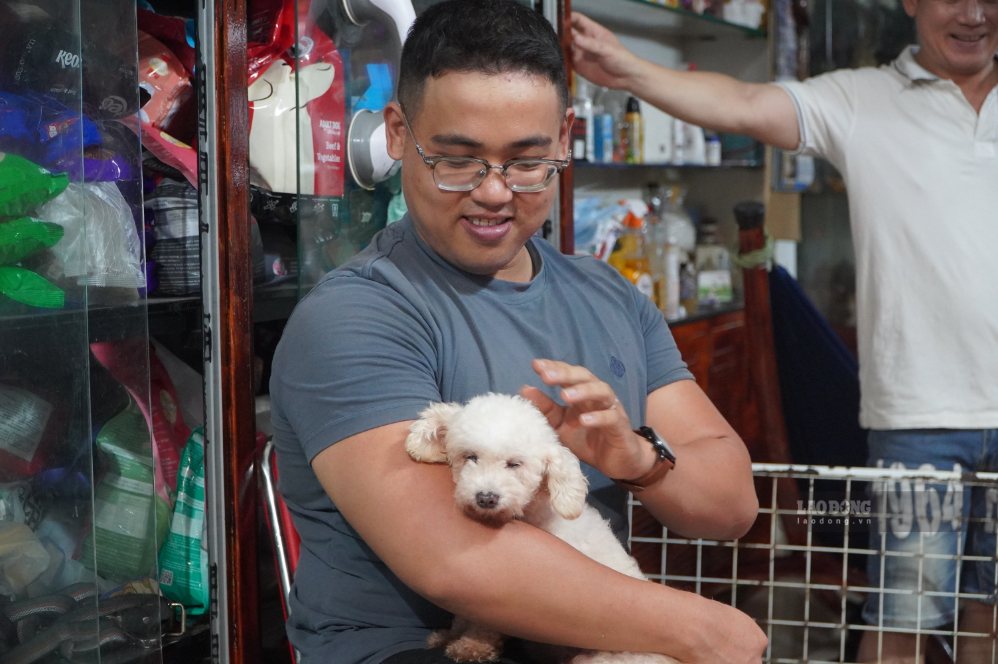 Dogs and cats enter the rescue station, truth and falsehood mixed up in ...