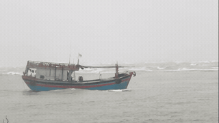 Urgently search for missing Quang Tri fishermen after fishing boat sinks