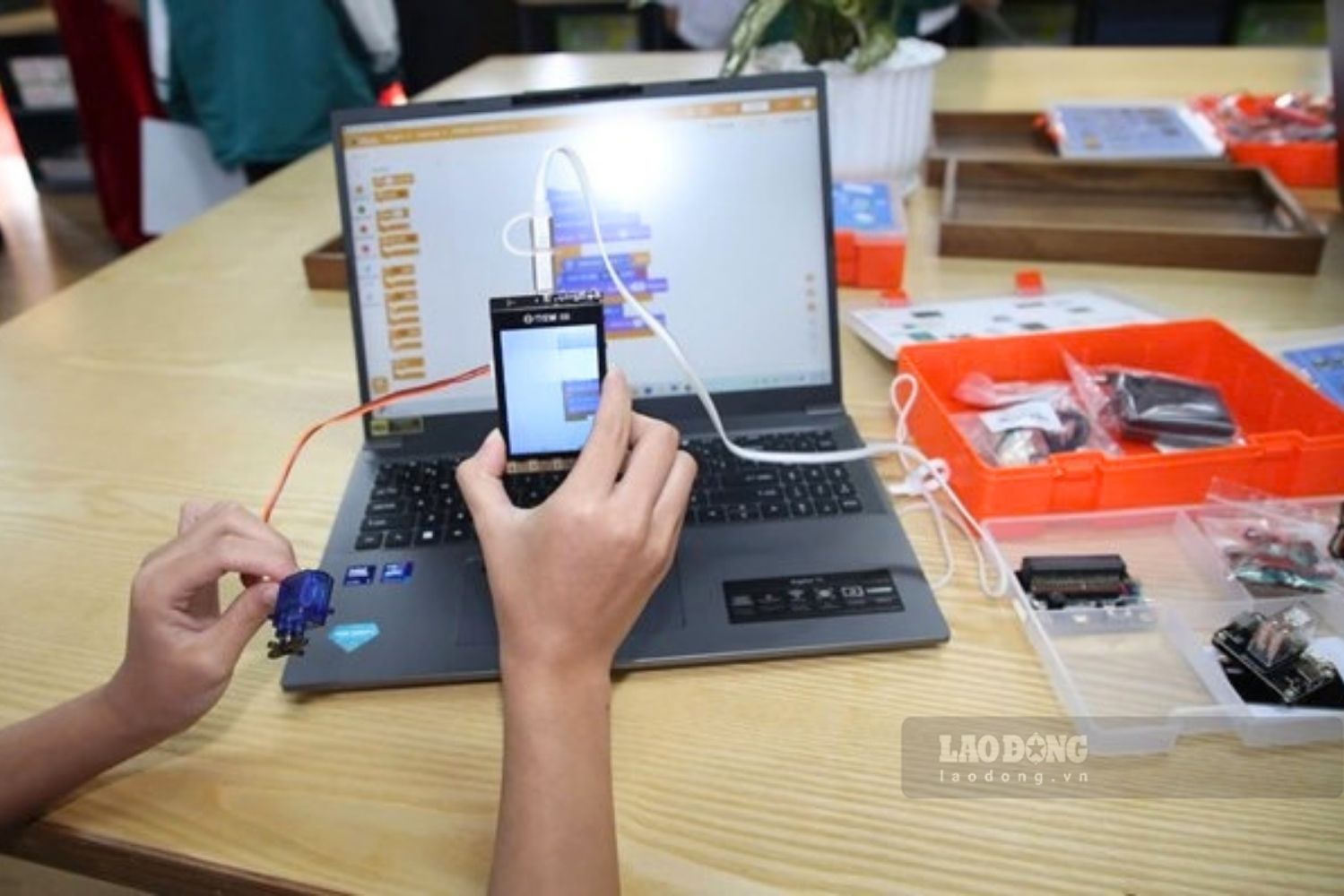 Ministry of Education and Training regulates a series of STEM education ...