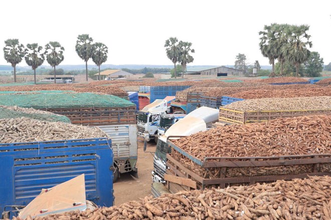 Tây Ninh khơi thông ách tắc nông sản tại cửa khẩu trước thời điểm cận Tết