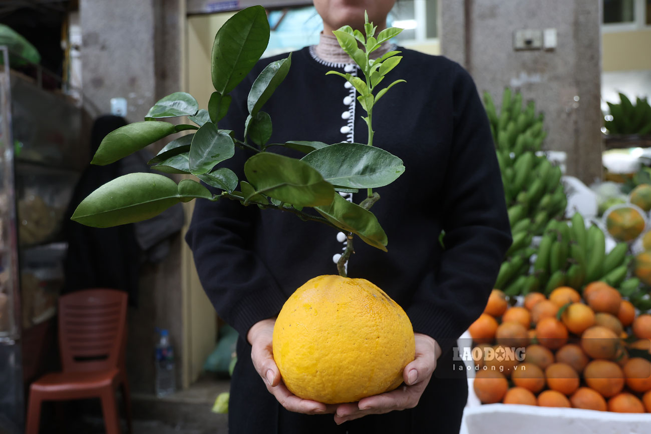 Những quả bưởi có cành đẹp, có giá khoảng 100.000 đồng/quả. Ảnh: Dương Anh
