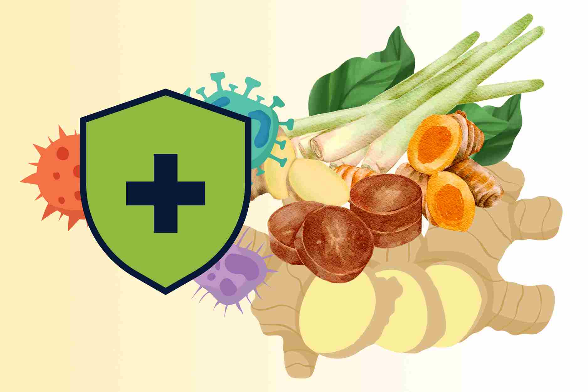 Anti-inflammatory ingredients that should be included in winter diets