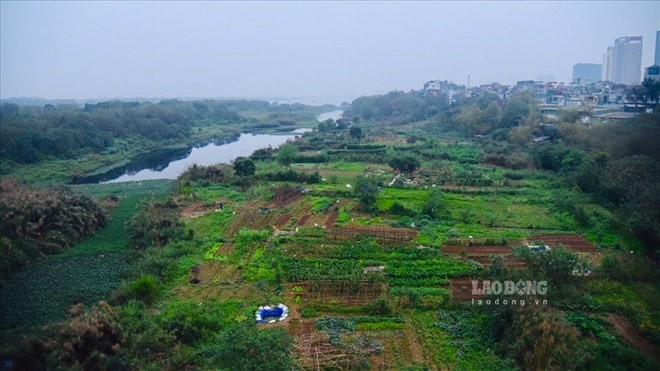 Many people are interested in land acquisition regulations. Photo: Nguyen Long
