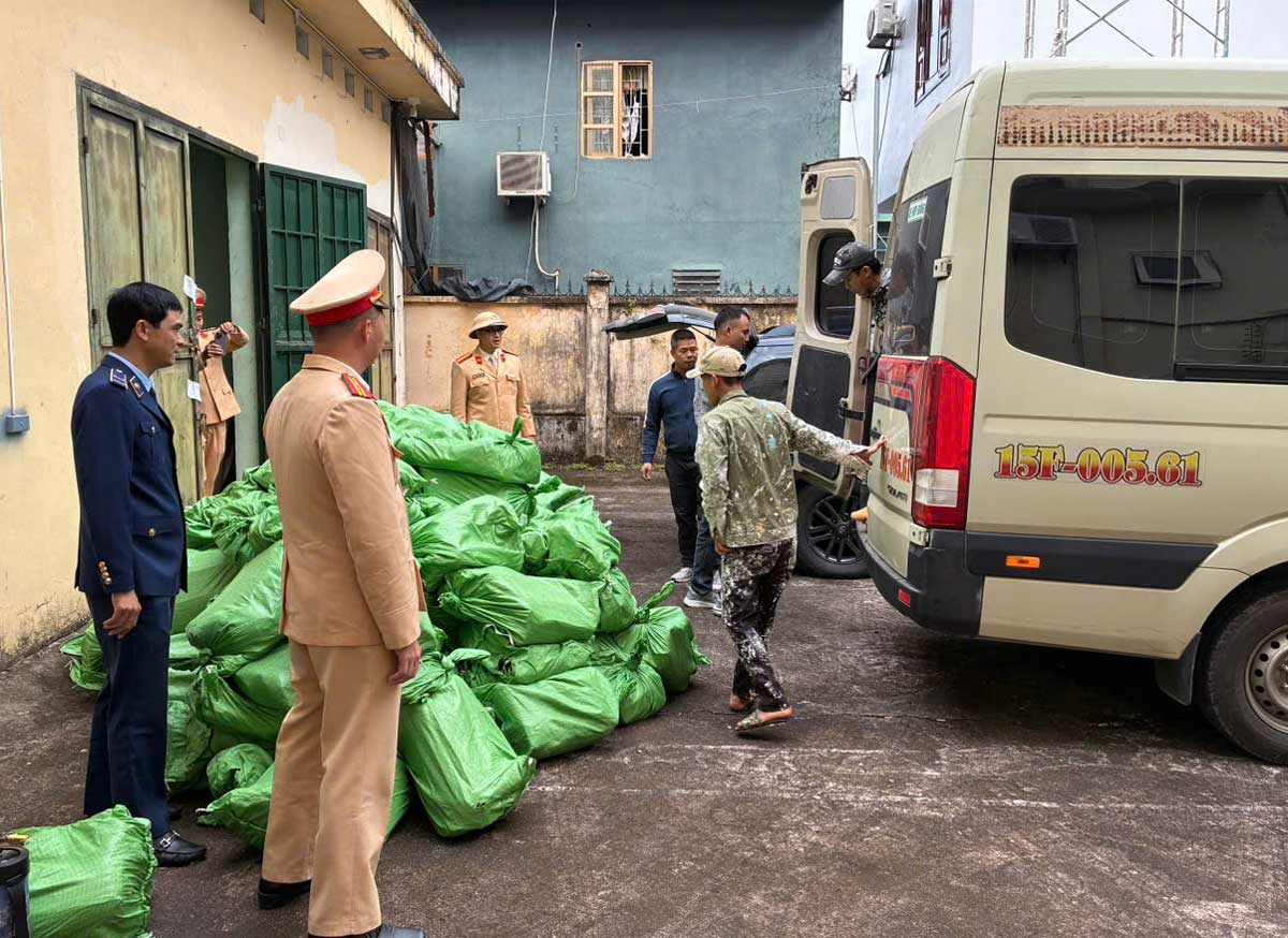 Quang Ninh Market Management force coordinates with Traffic Police to inspect car 15F-005.61 and discover 500 N2O gas cylinders "Laughter gas". Photo: Quang Ninh Market Management