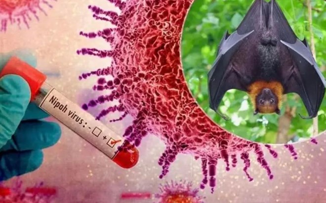 The University of Tokyo (Japan) announced that it will start the clinical trial phase with the Nipah virus vaccine. Photo: VTV