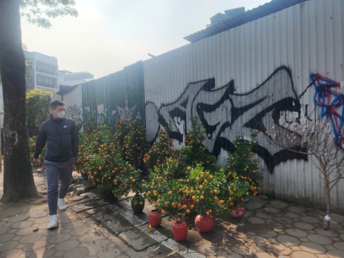 Hà Nội nhiều điểm bán đào, quất tự phát lấn chiếm vỉa hè. Ảnh: Minh Hạnh 