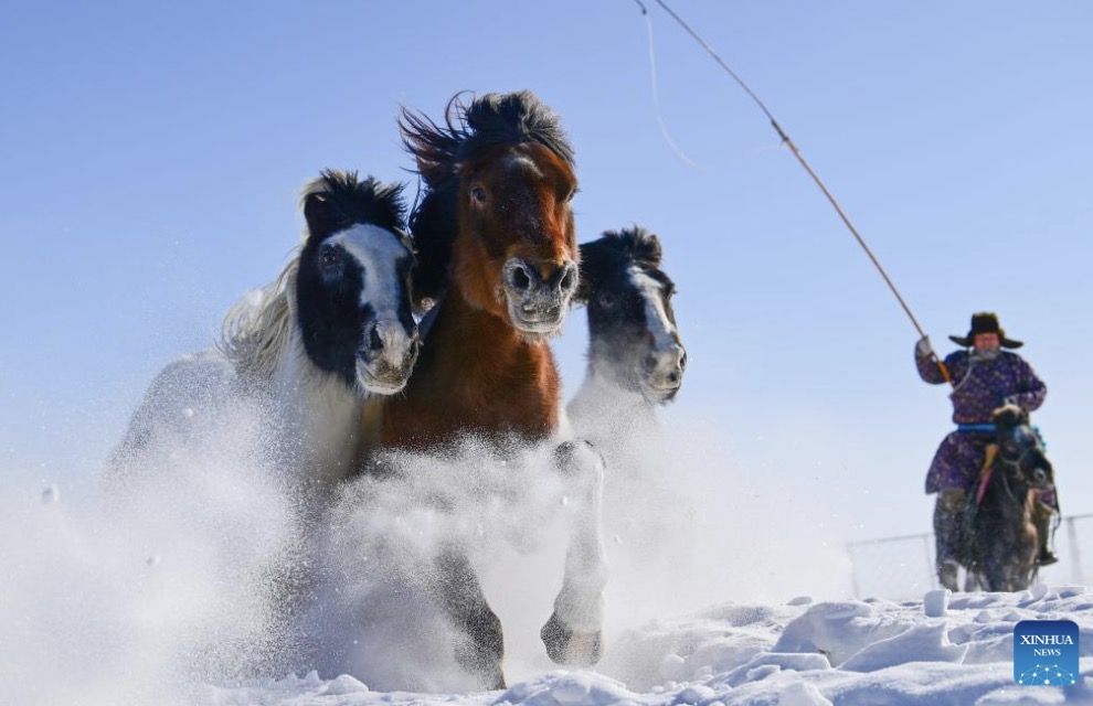 Famous leaders in world history all have special warhorses accompanying them. Photo: Xinhua