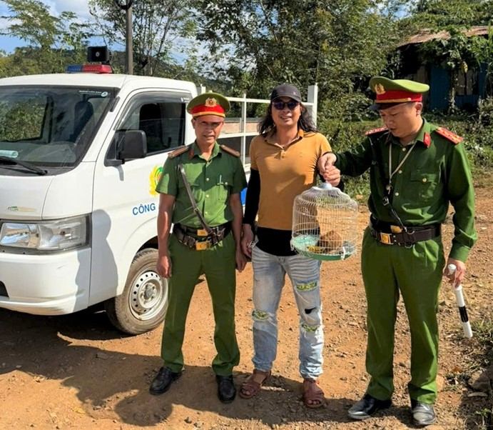 Quang Khe Commune Police receive a rare culi individual handed over by people. Photo: Police provided