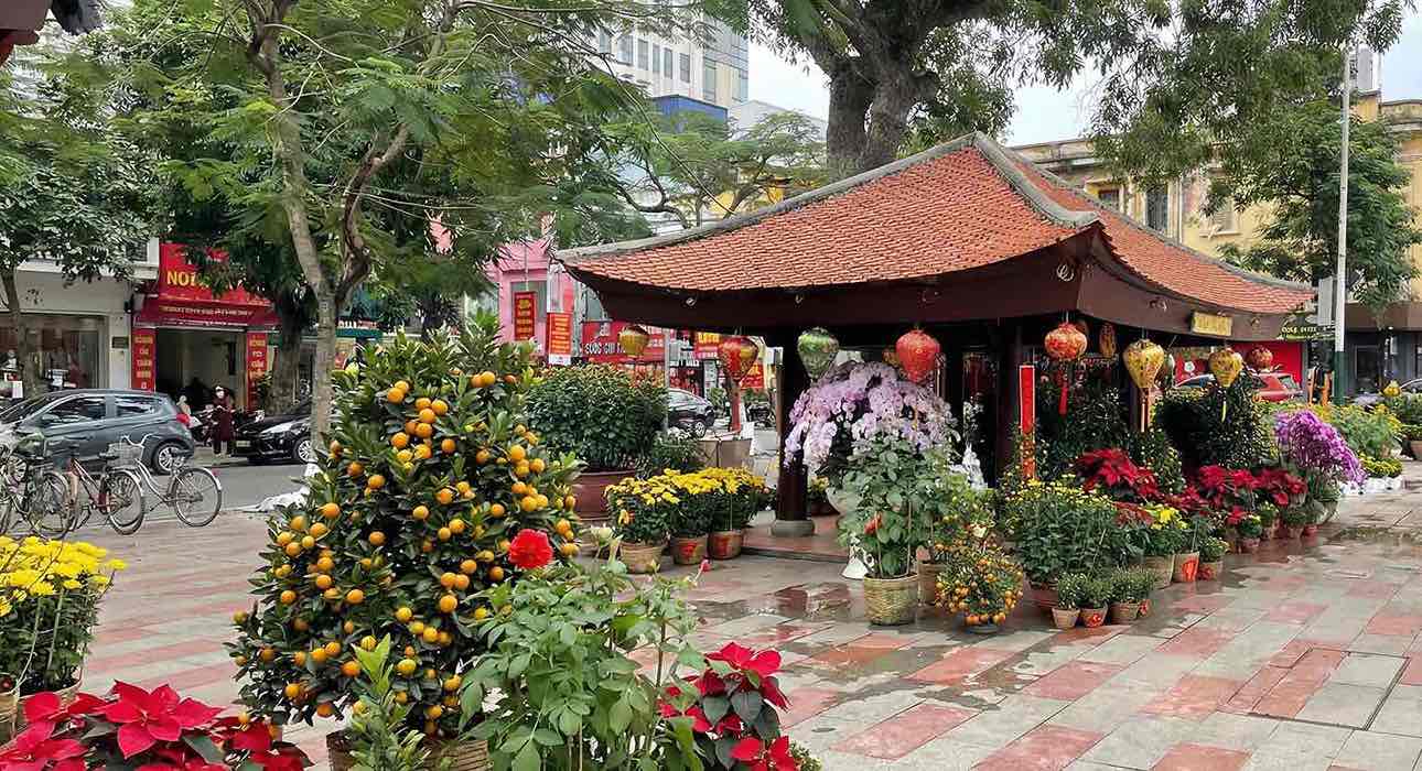 Quán hoa truyền thống trước Nhà hát Lớn Hải Phòng rực rỡ sắc xuân, thu hút người dân dạo phố, mua hoa dịp giáp Tết. Ảnh: Song Anh