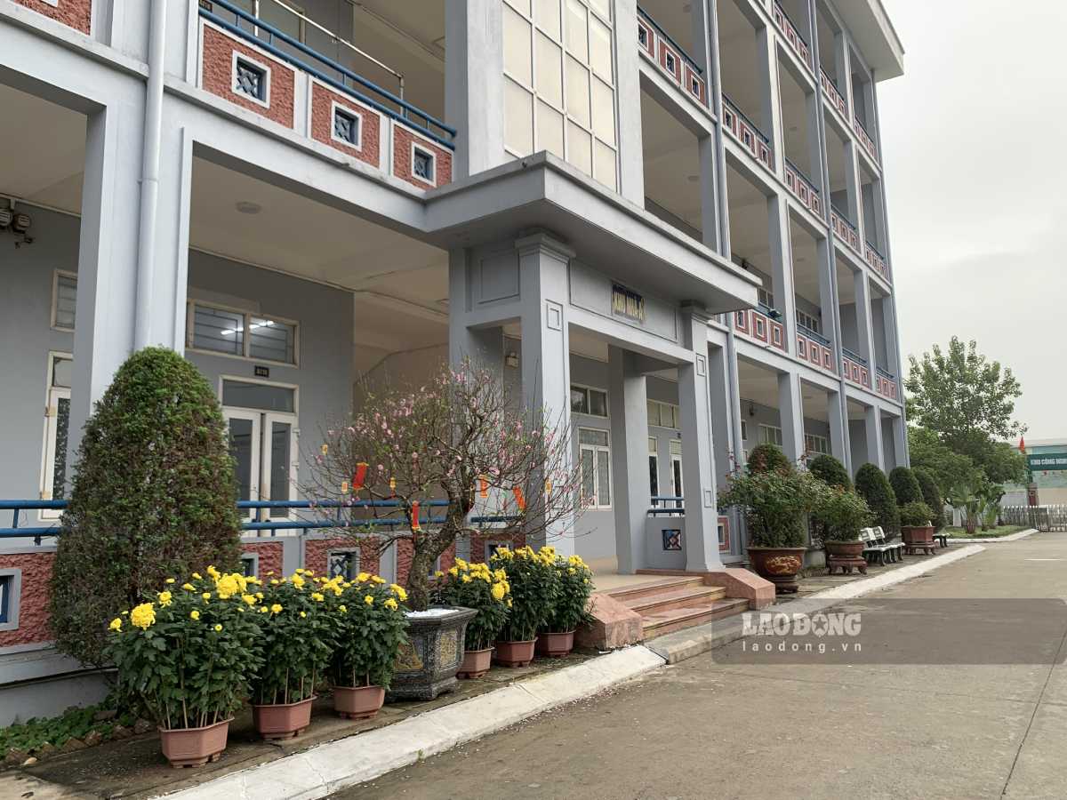 Những chậu cúc, cây đào được trang trí tại khuôn viên khu nhà ở xã hội KCN Bảo Minh. Ảnh: Lương Hà