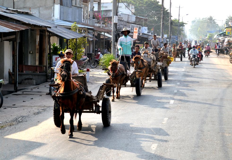 Xe ngựa chở hành hóa ở vùng Thất Sơn. Ảnh: Lục Tùng