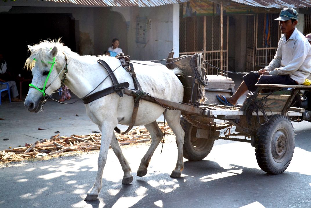 Xe ngựa ở Thất Sơn được thiết kế rất đơn giản để phục vụ nhu cầu vận chuyển hàng hóa. Ảnh: Lục Tùng