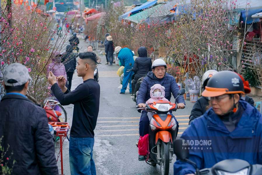 Không khí nhộn nhịp, dòng người hối hả tạo nên một bức tranh đầy sức sống tại chợ hoa Quảng An trong những ngày cận Tết.