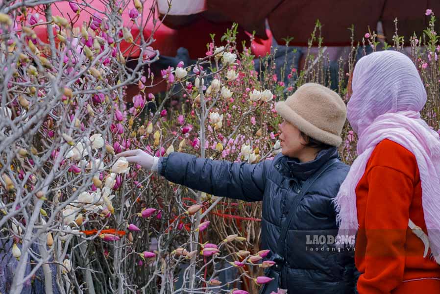 Bên cạnh hoa chơi Tết, các loại hoa cúng như cúc vàng, hoa hồng, lay ơn cháy hàng trong ngày ông Công ông Táo. Giá hoa hôm nay tăng nhẹ khoảng 10-15% so với ngày thường.