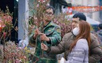 Quang An flower market bustling in the days leading up to the Binh Ngo Lunar New Year 2026