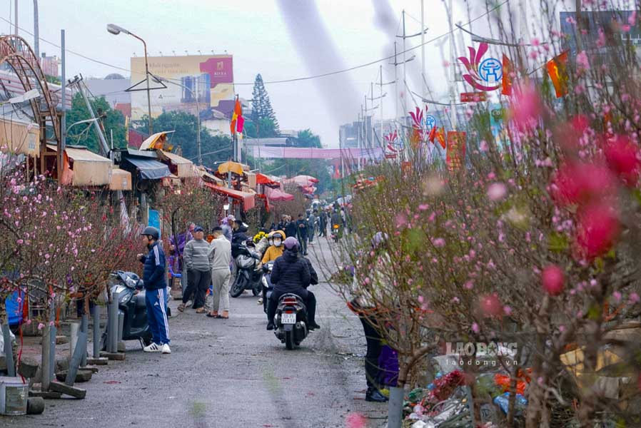 Ghi nhận ngày 10.2 (tức ngày 23 tháng Chạp) tại chợ hoa Quảng An (quận Tây Hồ, TP Hà Nội) đã “thất thủ“, nhiều người dân Thủ đô đã đổ về mua hoa cúng ông Công ông Táo và chơi Tết sớm.