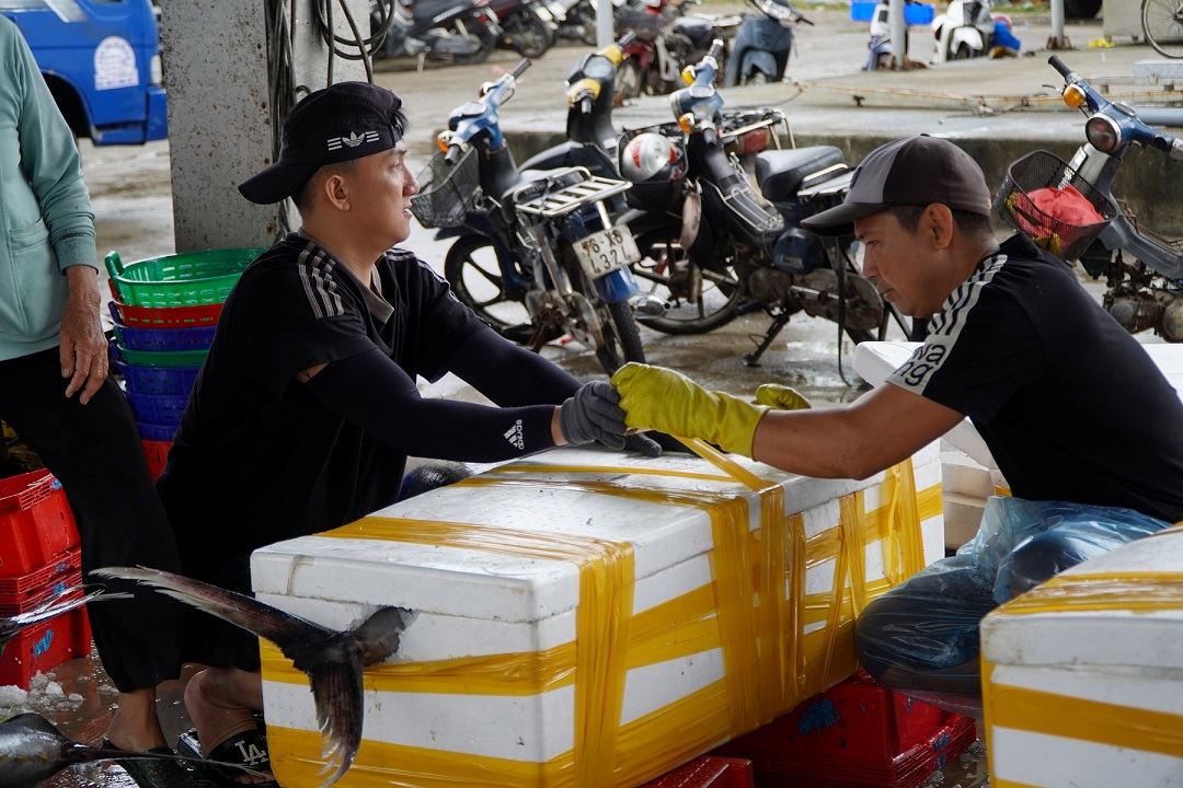 Cá ngừ được ướp đá trong thùng xốp để giữ được độ tươi ngon. Ảnh: Viên Nguyễn