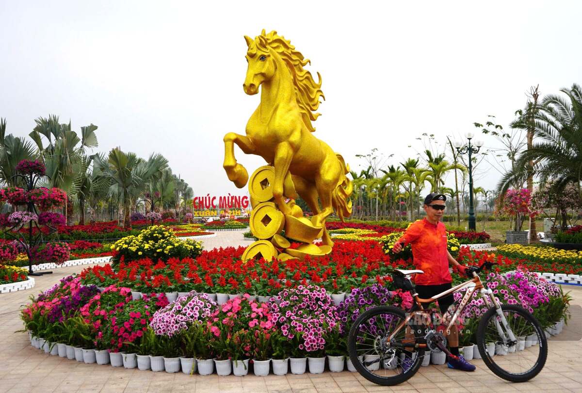 Xuan Binh Ngo horse mascot with a healthy shape is displayed in Hai Phong. Photo: Mai Dung