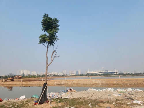 Hồ điều hoà Đồng Bông 2, phường Đại Mỗ, TP Hà Nội. Ảnh: Minh Hạnh 