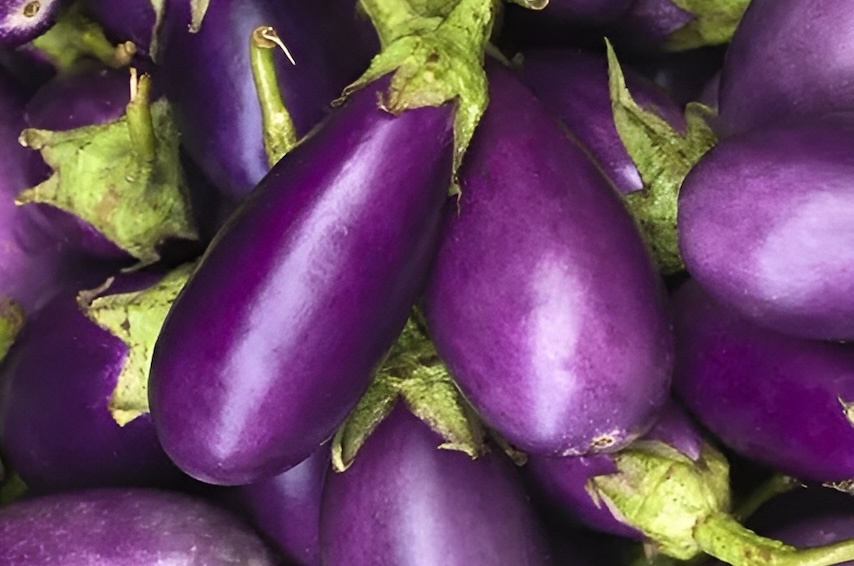 Eggplant is one of the recommended foods to help limit post-eating blood sugar spikes. Photo: Kieu Vu