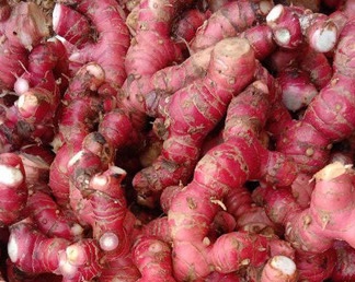 Workers can use galangal if they experience bloating during Tet. Photo: Kieu Vu
