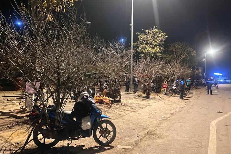 Người dân khu vực ngã ba Cò Nòi, xã Mai Sơn nhập và bán đào cả ngày lẫn đêm. Ảnh: Trường Sơn