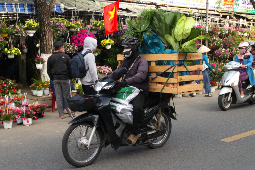 Người lao động tranh thủ dịp Tết nhu cầu chở cây cảnh tăng cao, kiếm thêm thu nhập. Ảnh: Thanh Huyền