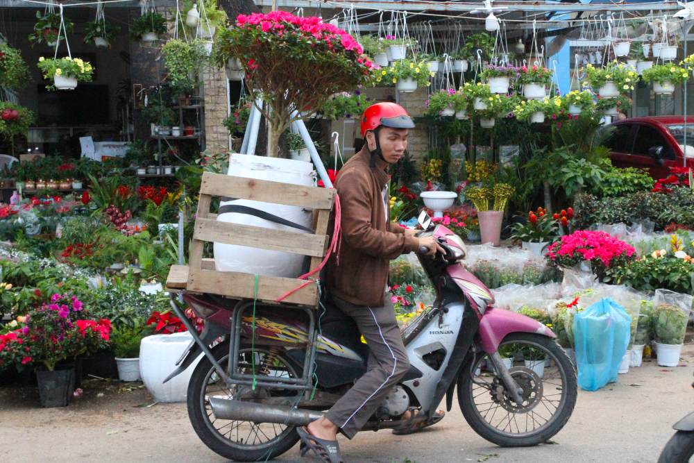 The demand for transporting flowers and ornamental plants is increasing sharply, helping many workers earn millions of VND per day. Photo: Thanh Huyen