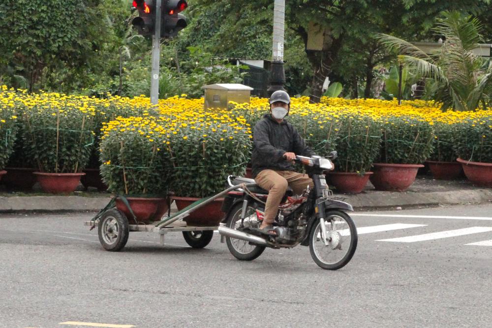 Người lao động chở hoa Tết trên đường phố Đà Nẵng dịp cận Tết. Ảnh: Thanh Huyền