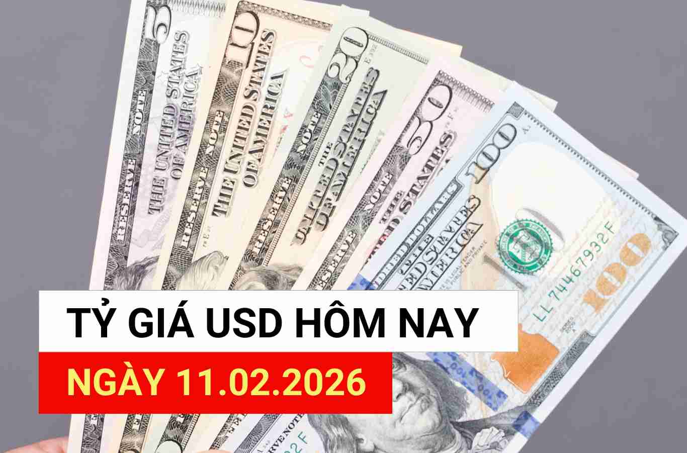 USD exchange rate today 11. 2. 2026.