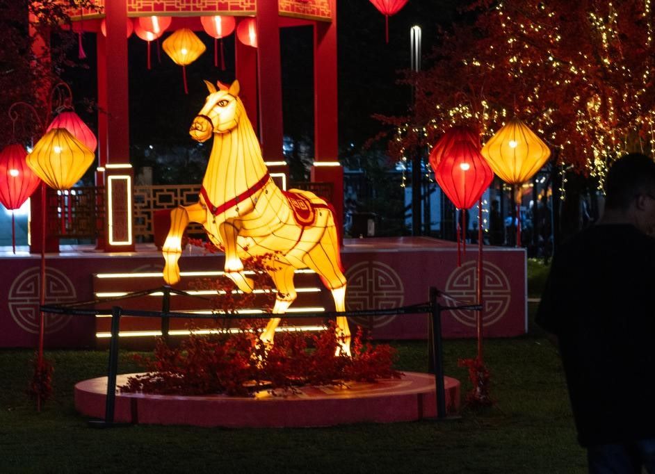 The four zodiac signs predicted to suffer the most storms in 2026 include Horse, Rooster, Rat and Cat. Photo: Xinhua