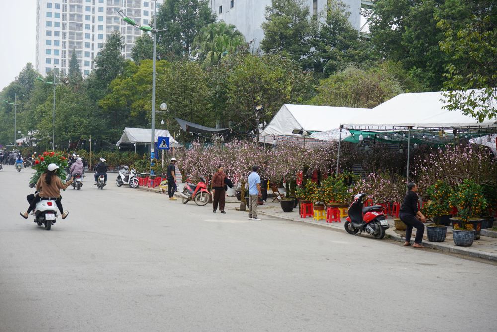 Không khí mua bán tại chợ hoa Tết trên đường Bùi Khắc Nhất trong sáng 24 Tết. Ảnh: Quách Du