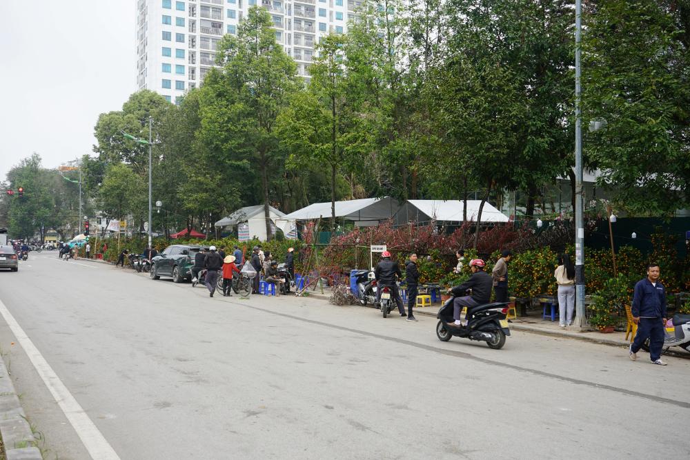 Không khí bán đào quất tại chợ hoa Tết trên đường Bùi Khắc Nhất (phường Hạc Thành) khá ảm đạm trong sáng ngày 24 Tết. Ảnh: Quách Du