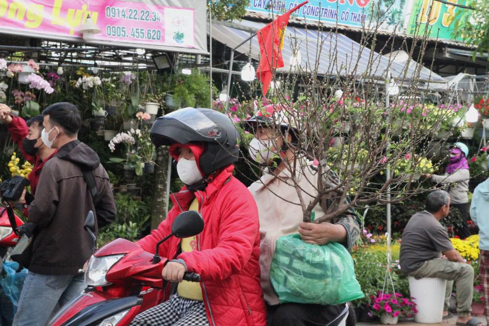 Nhiều gia đình lựa chọn cành đào nhỏ gọn, phù hợp không gian sống dịp Tết. Ảnh: Thanh Huyền