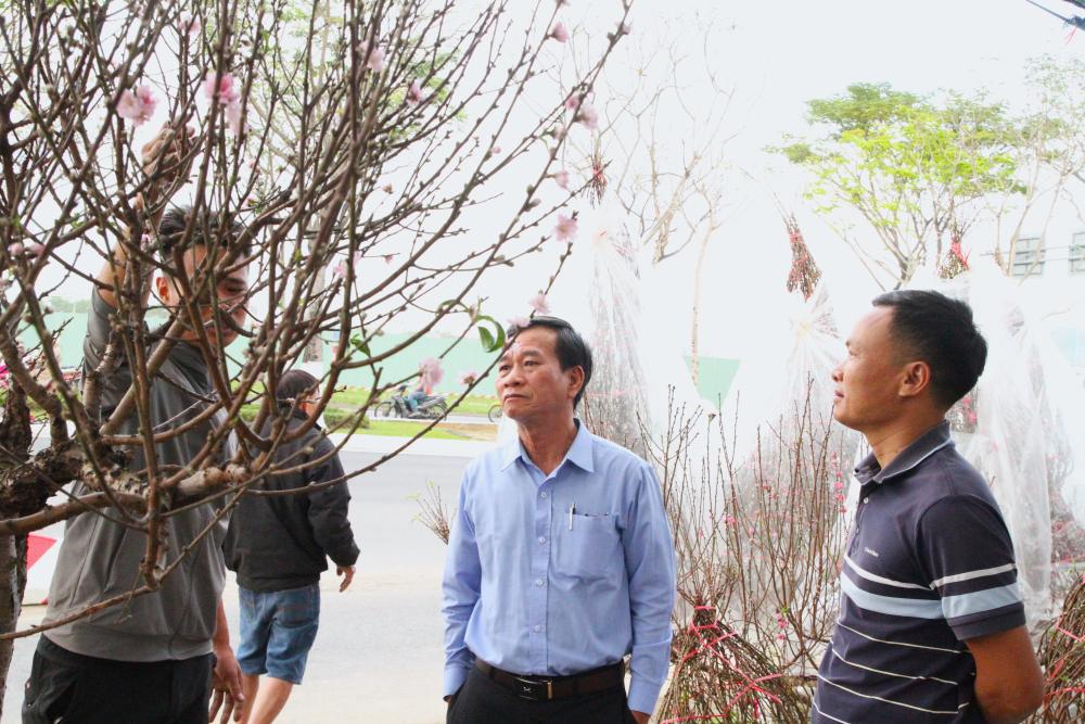 Người dân tham khảo, lựa chọn những cành đào ưng ý để chưng Tết. Ảnh: Thanh Huyền