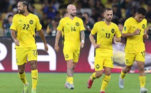 Malaysian press says Vietnam accuses 7 naturalized players
