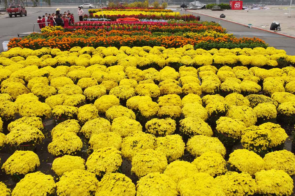 A cluster of fresh flower decorations on the Great Flower and lighting technology. Photo: Doan Hung