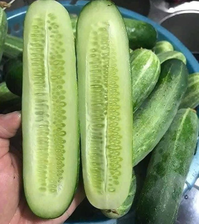 Fresh salads with cucumbers are side dishes that do not worry about increased uric acid. Photo: Quang Minh.