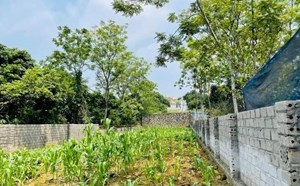 Land plot prices increase sharply, experts warn of potential risk areas