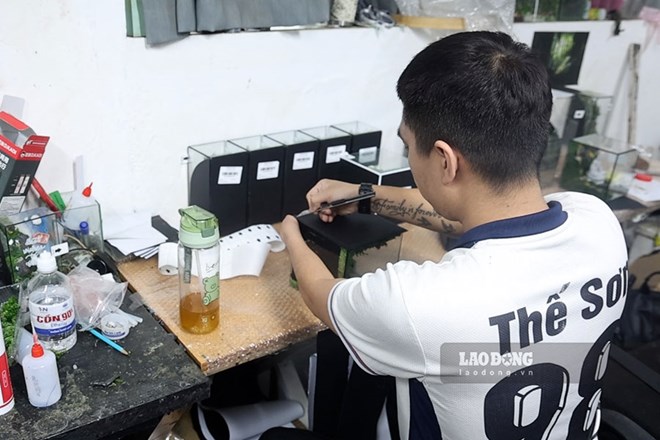 Nơi gieo mầm xanh hy vọng cho những người khuyết tật