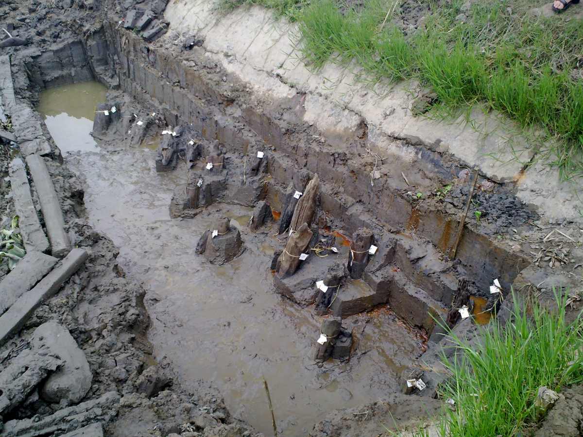 Khai quật bãi cọc đồng Má Ngựa nhưng sau đó phải lấp xuống bùn để bảo quản cọc tốt hơn. Ảnh: Ngô Đình Dũng 