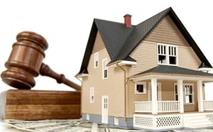 Director of Department has the right to fine up to 80 million VND for violations of public property