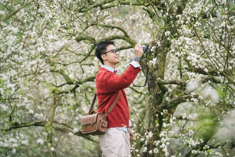 Hoa mận nở trắng trời ngày xuân ở Mộc Châu. Ảnh: Quang Kiên