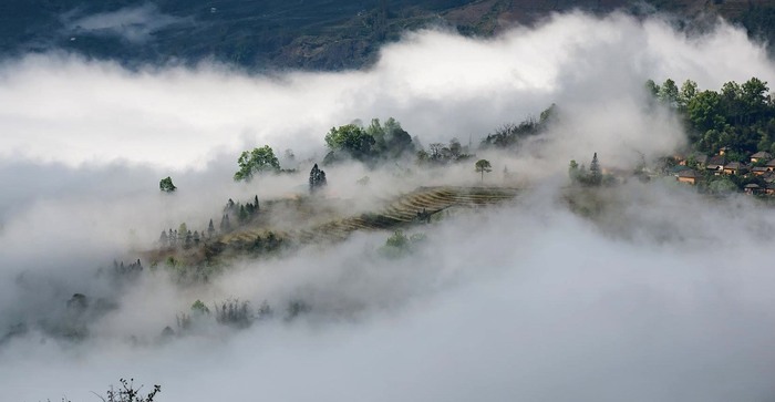 Biển mây Y Tý làm say đắm biết bao trái tim mê du lịch. Ảnh: Nguyễn Tuấn Khoa