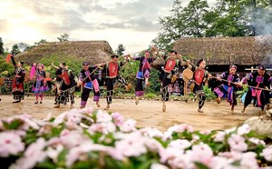 3 spring travel destinations in the North during the Binh Ngo Tet holiday