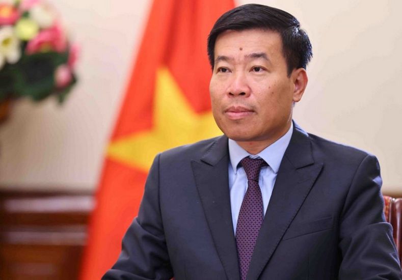 Member of the Party Central Committee, Deputy Minister of Foreign Affairs Nguyen Manh Cuong. Photo: VNA
