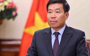 Proactively implementing the resolution of the 14th Party Congress in foreign affairs work