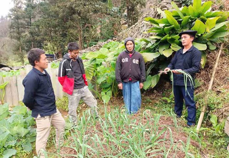 Secretary of the Party cell of Can Chu Phin village, Khau Vai commune (Tuyen Quang) Tho Mi Xa (1st from right) guides people to develop the economy. Photo: Minh Giang