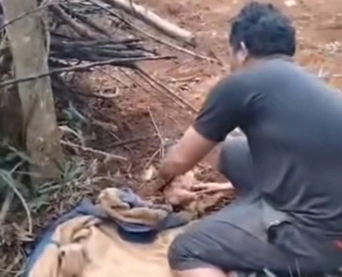 The police agency has identified the identity of the heartless mother who abandoned her child in a durian garden in Dak Lak. Photo: People provided